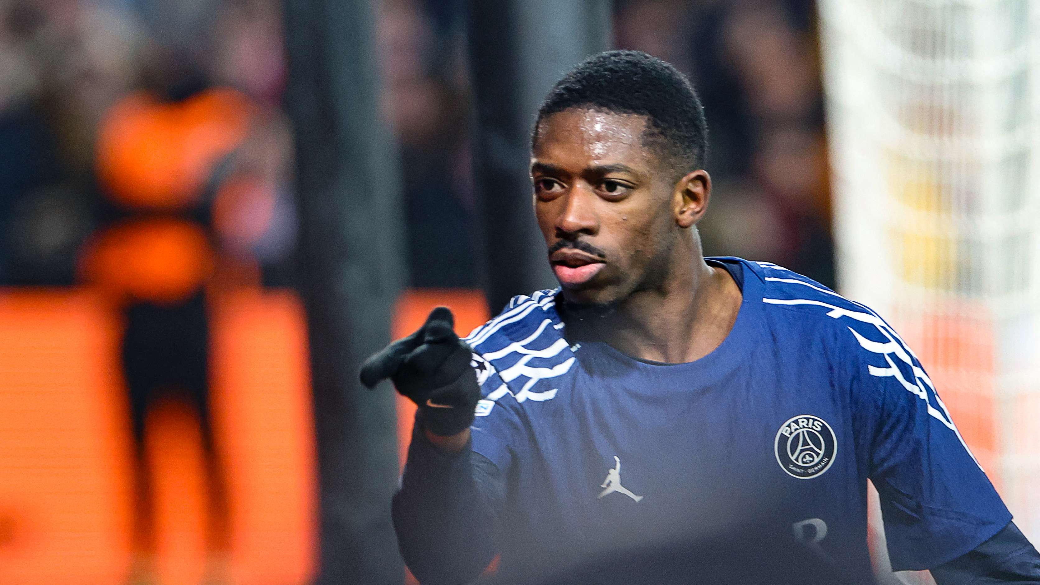 专业性的分 专业性的分